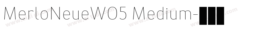 MerloNeueW05 Medium字体转换